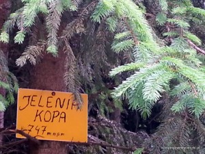 Niebieskim szlakiem na Kłodzką Górę