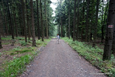 wejście na Lubomir 06.2015