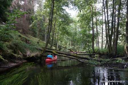 XVII Spływ kajakowy z Husarią po Czernicy