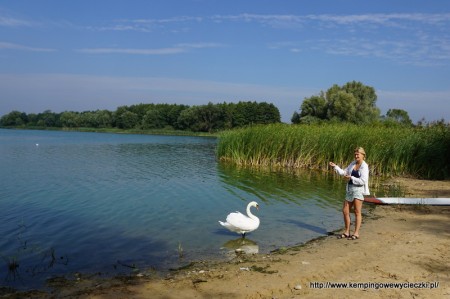 Jezioro Gopło Połajewek