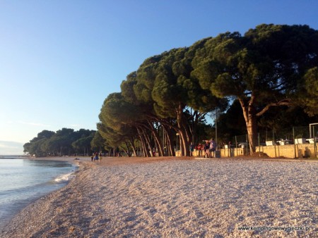 plaża na kempingu Pineta w Fazanie