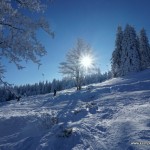 Trasy narciarskie w Zieleńcu