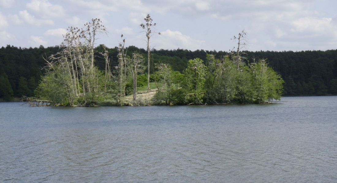 Jezioro Solecko