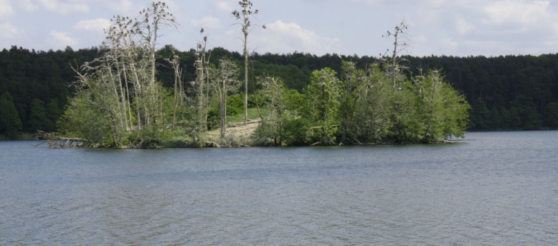 Jezioro Solecko