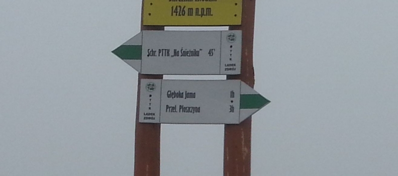 Śnieżnik 1426 m n.p.m. Masyw Śnieżnika16/28