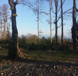 Czupel 933 m n.p.m. Beskid Mały 18/28