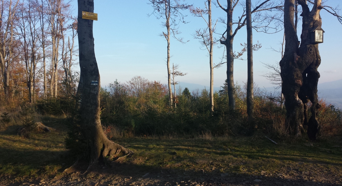 Czupel 933 m n.p.m. Beskid Mały 18/28