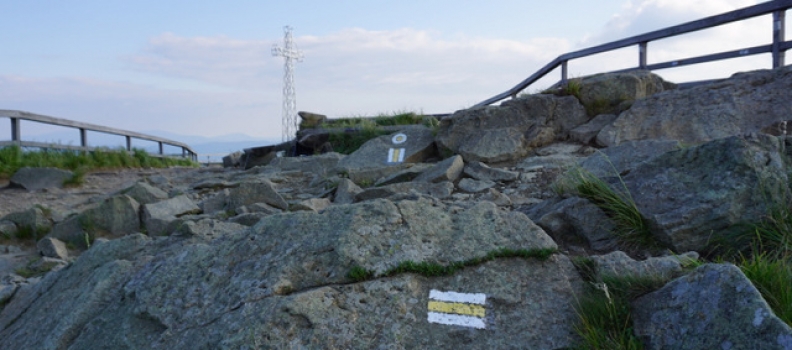 Tarnica 1346 m n.p.m.