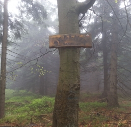 Skalnik – najwyższe szczyty gór w Polsce 2/28